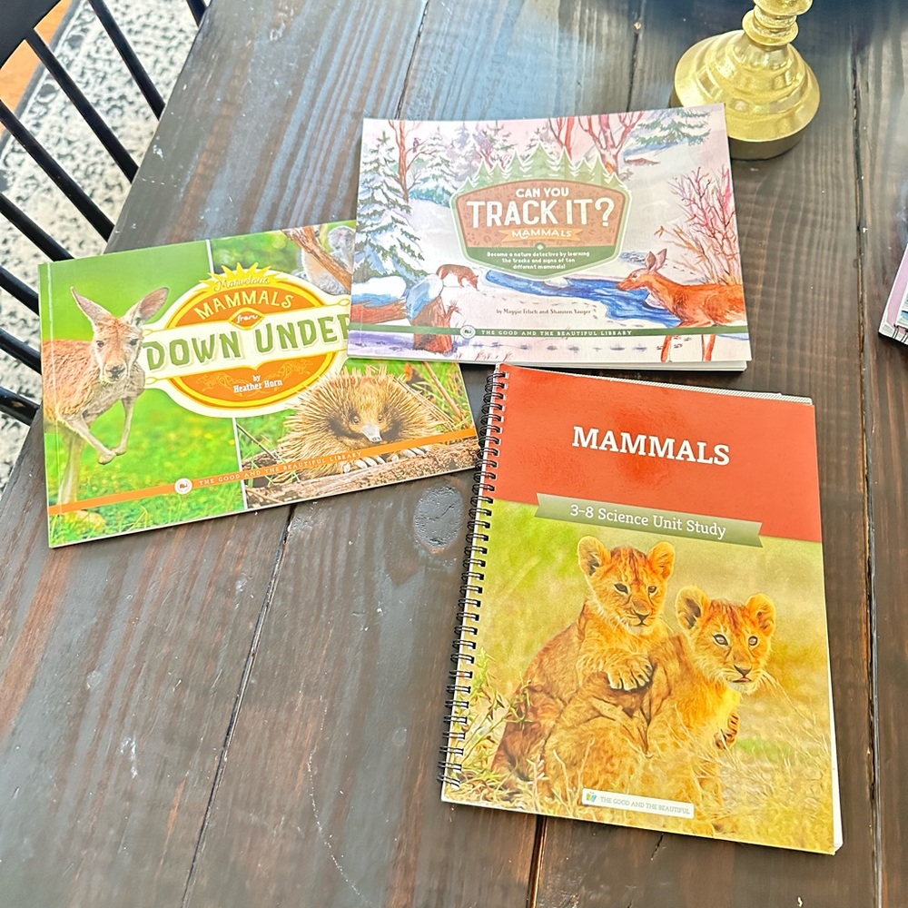 Green Book Collection for Learning - Picture 3 of 8